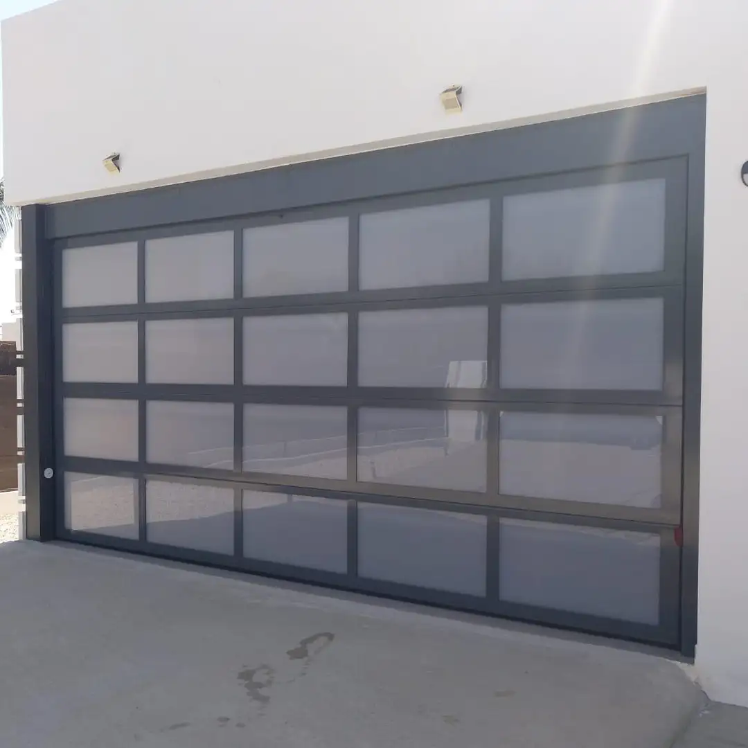 Puerta seccional con cristales